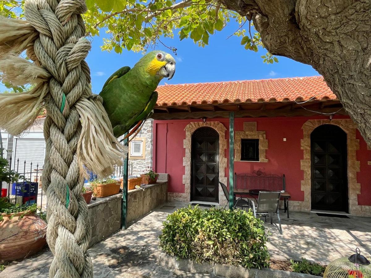 Terracotta Boutique Beach Studios Митимна Экстерьер фото